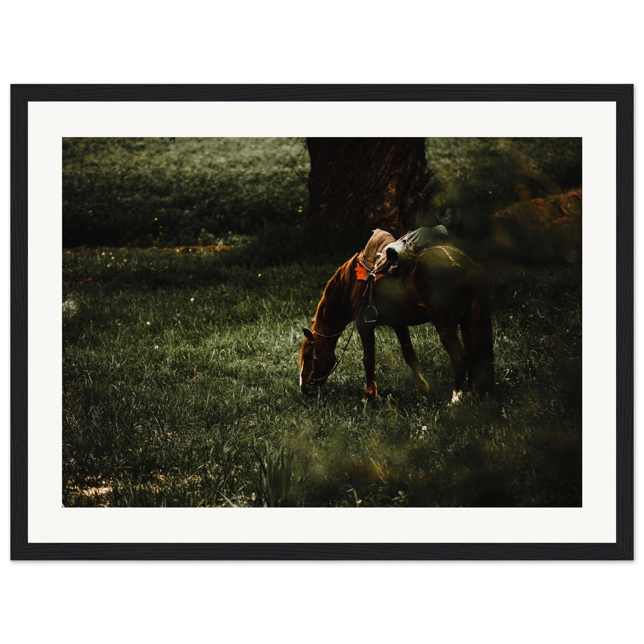 bdd73f81-bf4c-44c0-960e-28eb53cd6b13