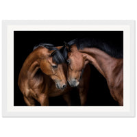 bdd814aa-90bf-4163-841f-40719d05e72b