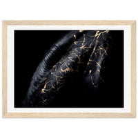 bdd90b84-3a8e-4f75-ae93-f9f522d33de3