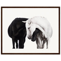 bdf94962-7be6-4243-89bc-b0f951fd595d