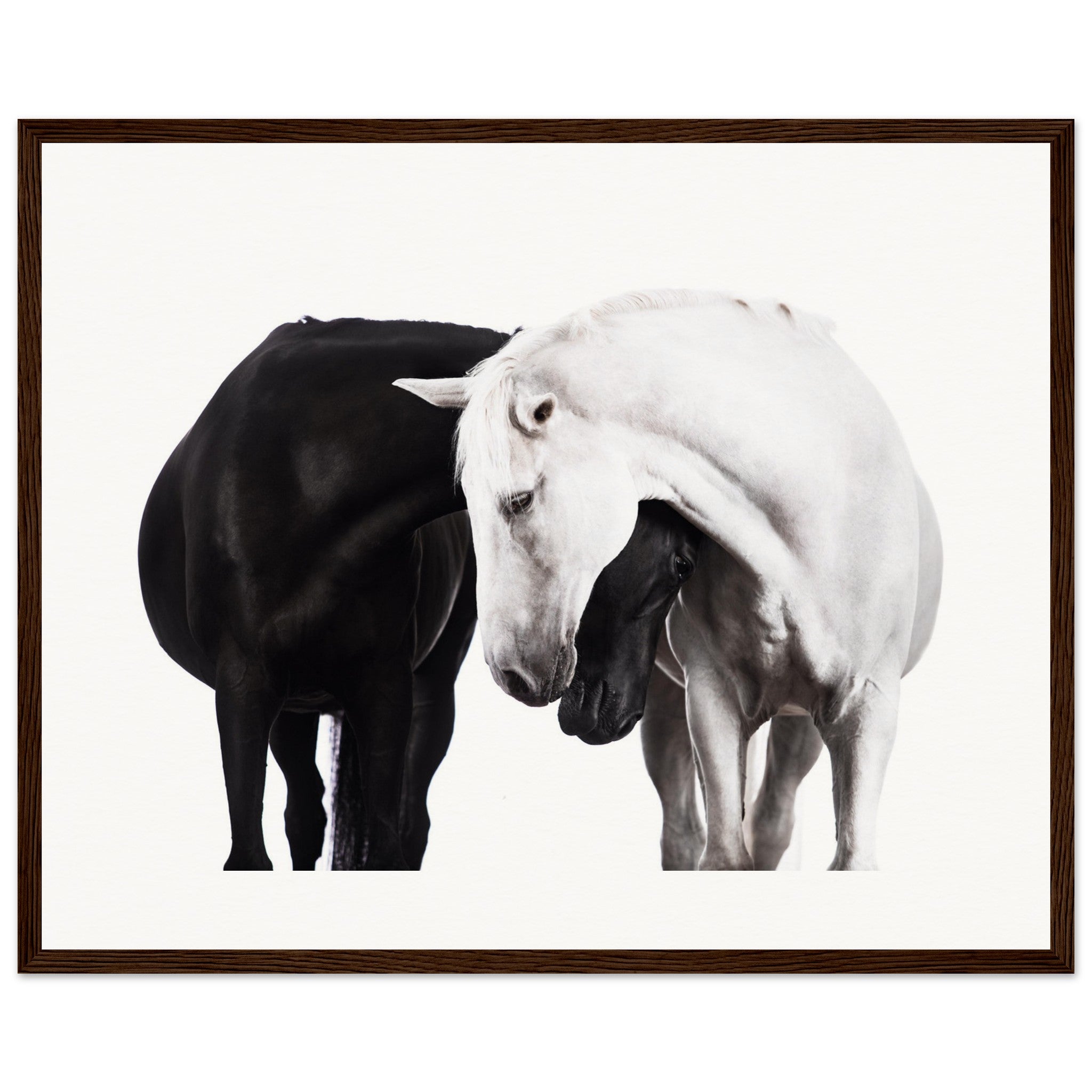 bdf94962-7be6-4243-89bc-b0f951fd595d