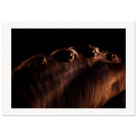 be4c08c6-af64-4359-a44f-6b6a0b287186