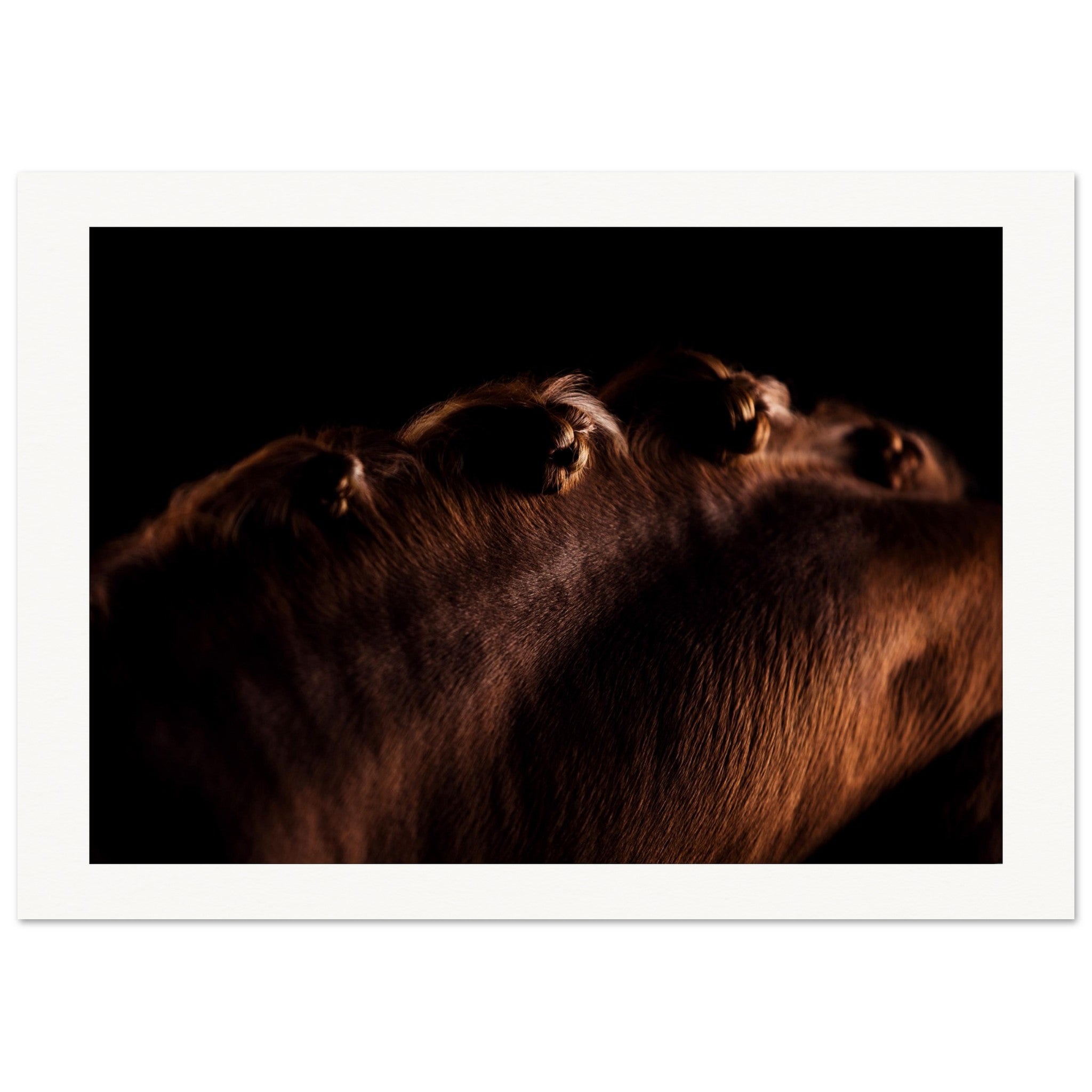 be4c08c6-af64-4359-a44f-6b6a0b287186