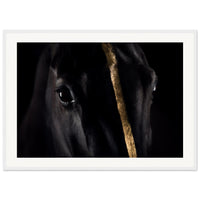 be803cb9-2486-4b3c-a04f-54b8d66de178