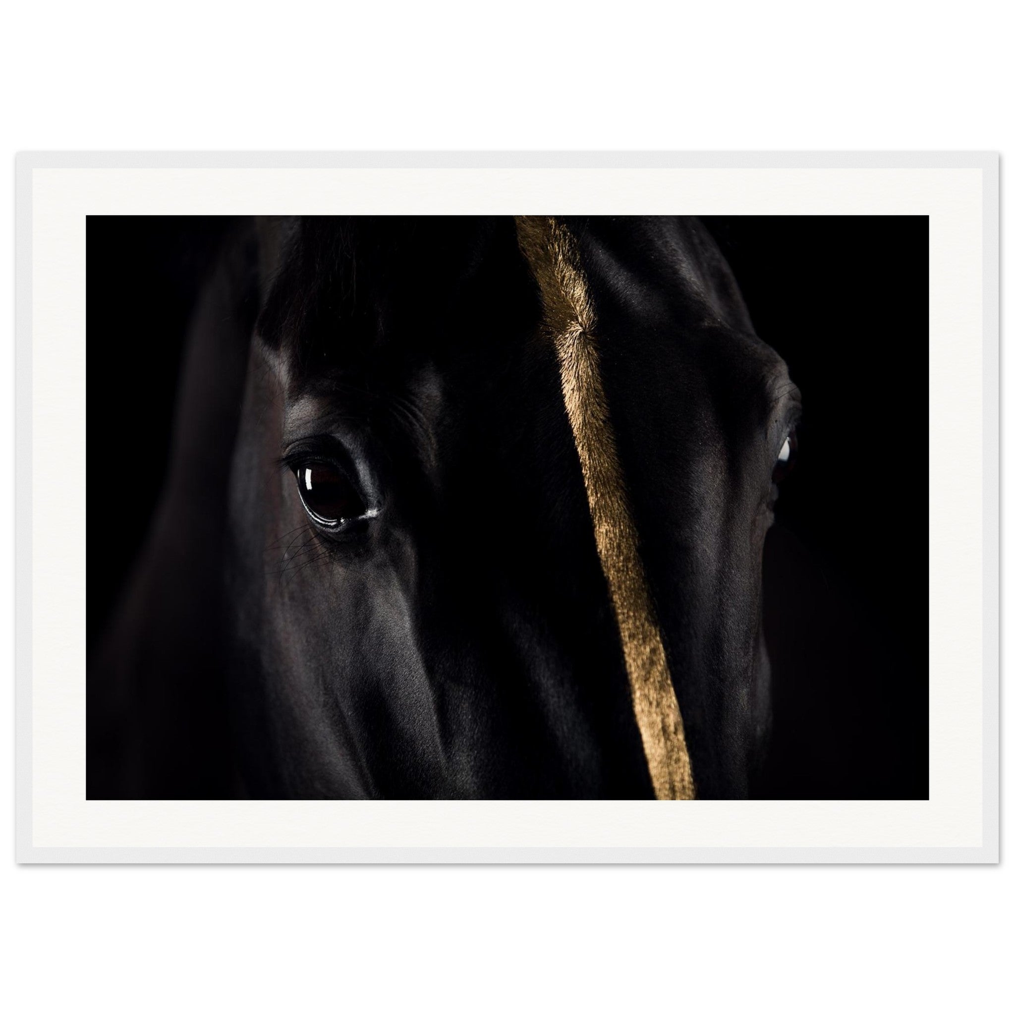 be803cb9-2486-4b3c-a04f-54b8d66de178