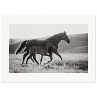 be96a532-c3b9-43de-a5ab-38851e5dd2b7