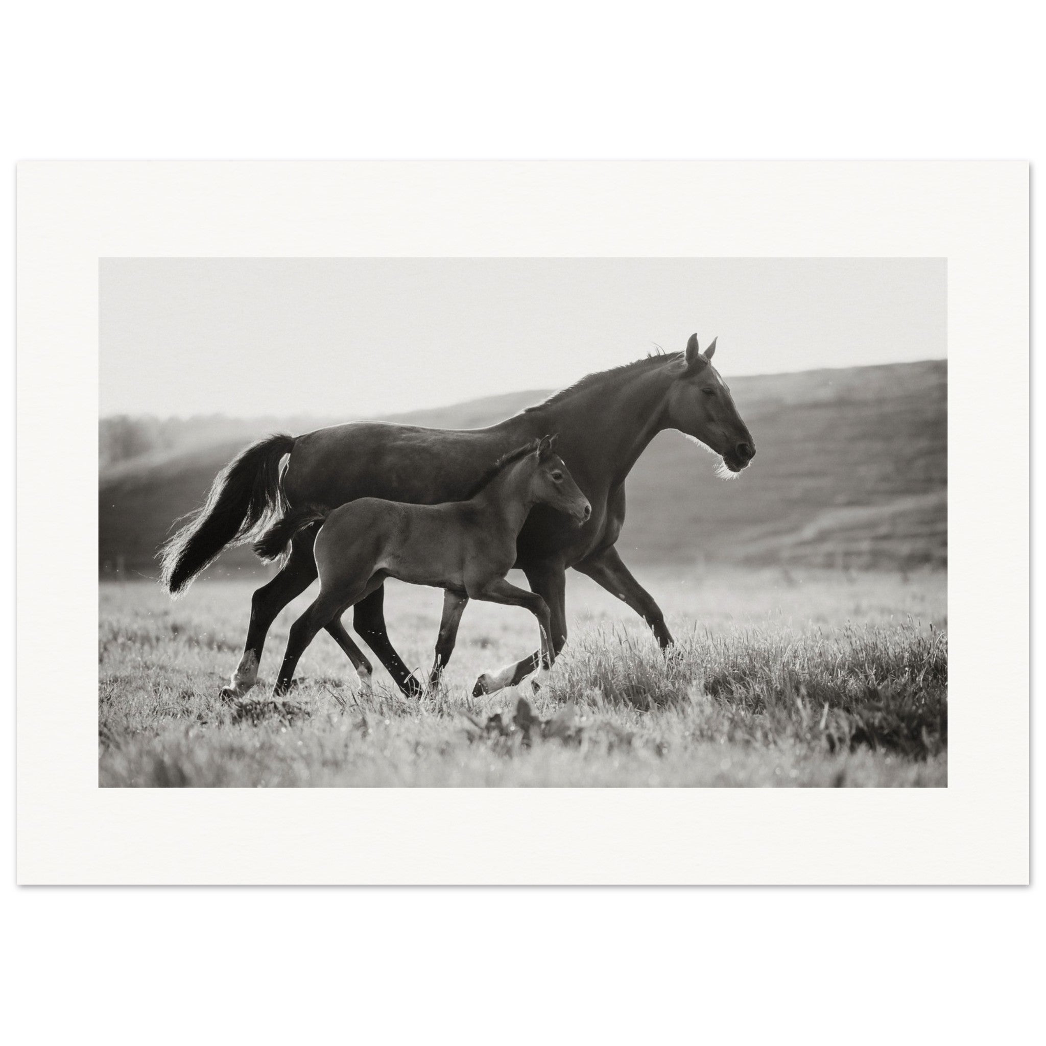 be96a532-c3b9-43de-a5ab-38851e5dd2b7