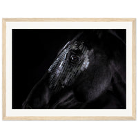 be9e40db-6f7a-47a1-b308-79c705bb94d8