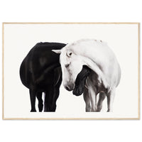 bee4b147-fdaf-415c-affe-03c6f9d3fe72