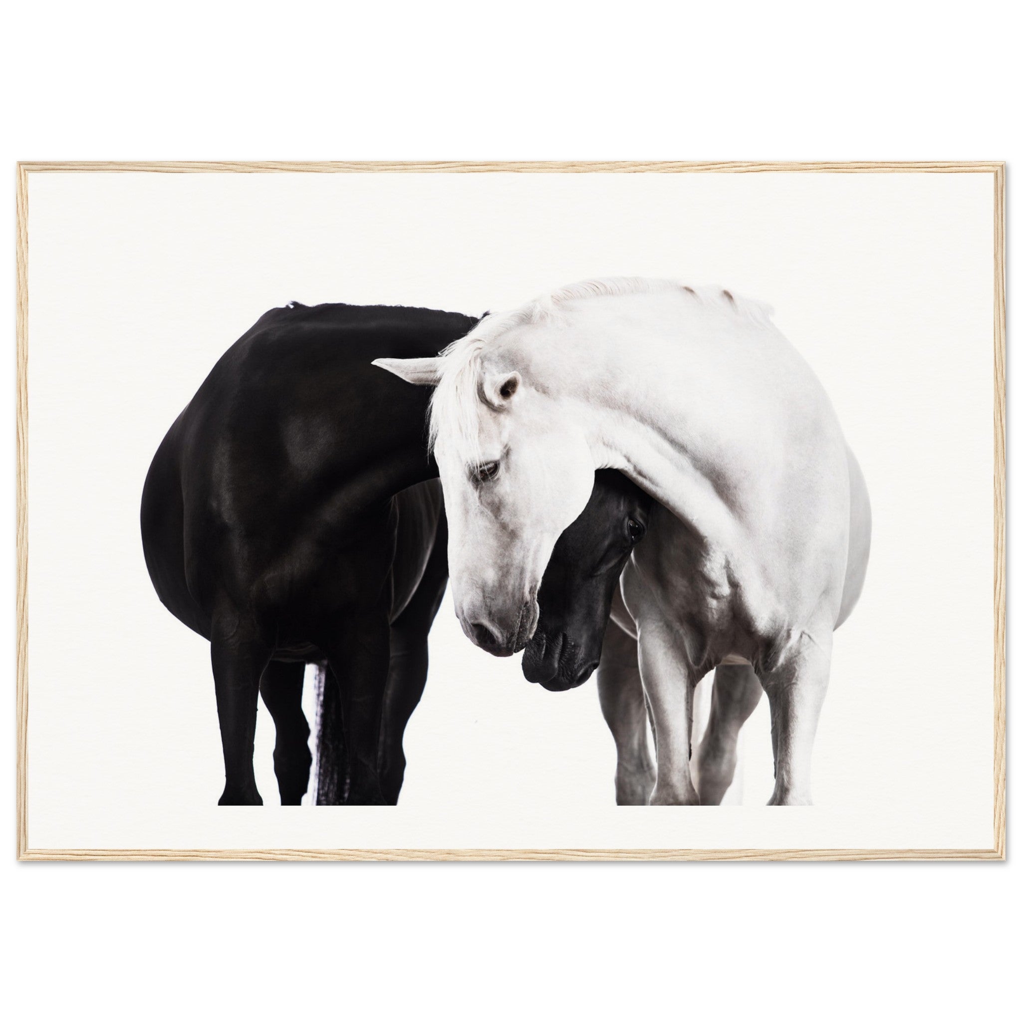 bee4b147-fdaf-415c-affe-03c6f9d3fe72