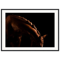 bee6c113-7c96-4ed7-86f6-96ae34d2eef9