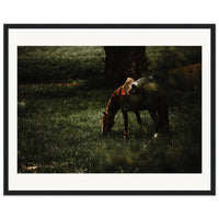 bef4b9b8-8d1a-4c3c-8447-f074ee6b61a6