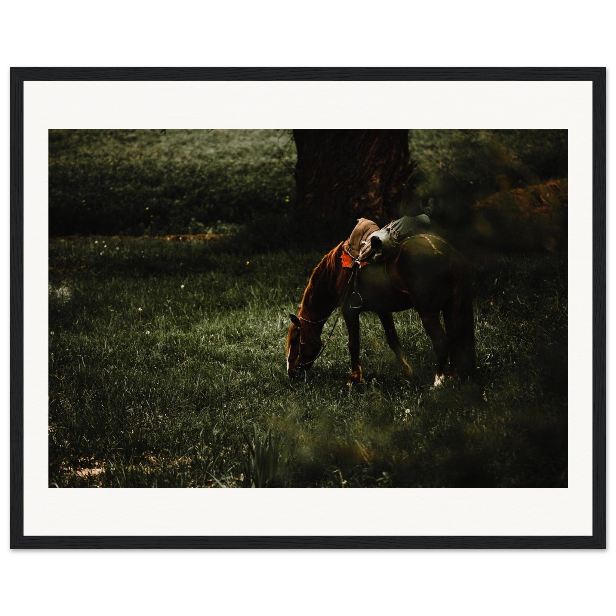 bef4b9b8-8d1a-4c3c-8447-f074ee6b61a6