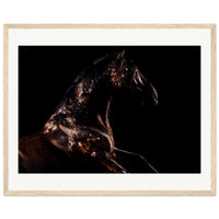 bf3048da-2564-4c56-bf31-b804463cefc7