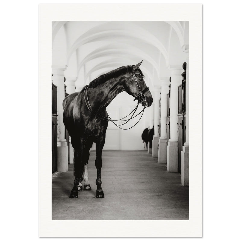 bf8242ef-c60e-4904-89d8-0aca7e99e9ad