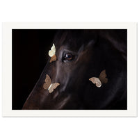 bfe2525f-2f8a-47d3-8a8b-3bfe493cdb90