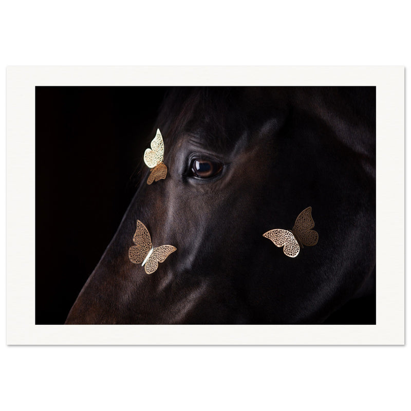 bfe2525f-2f8a-47d3-8a8b-3bfe493cdb90