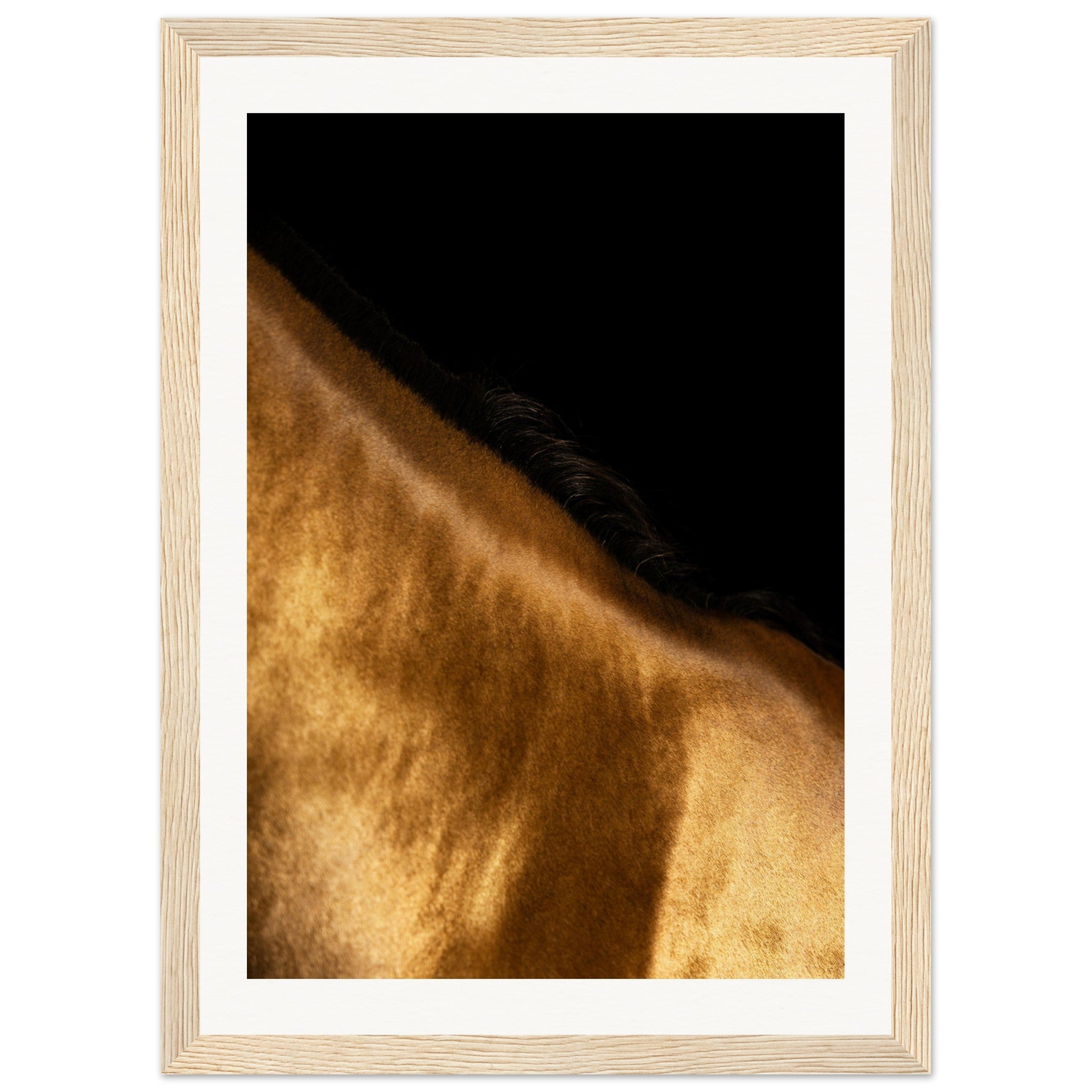 c0225d52-8320-4f52-9a7a-d96e4f066dcd