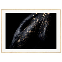 c03fbcfe-ae42-479e-ad09-a91d1a124a49