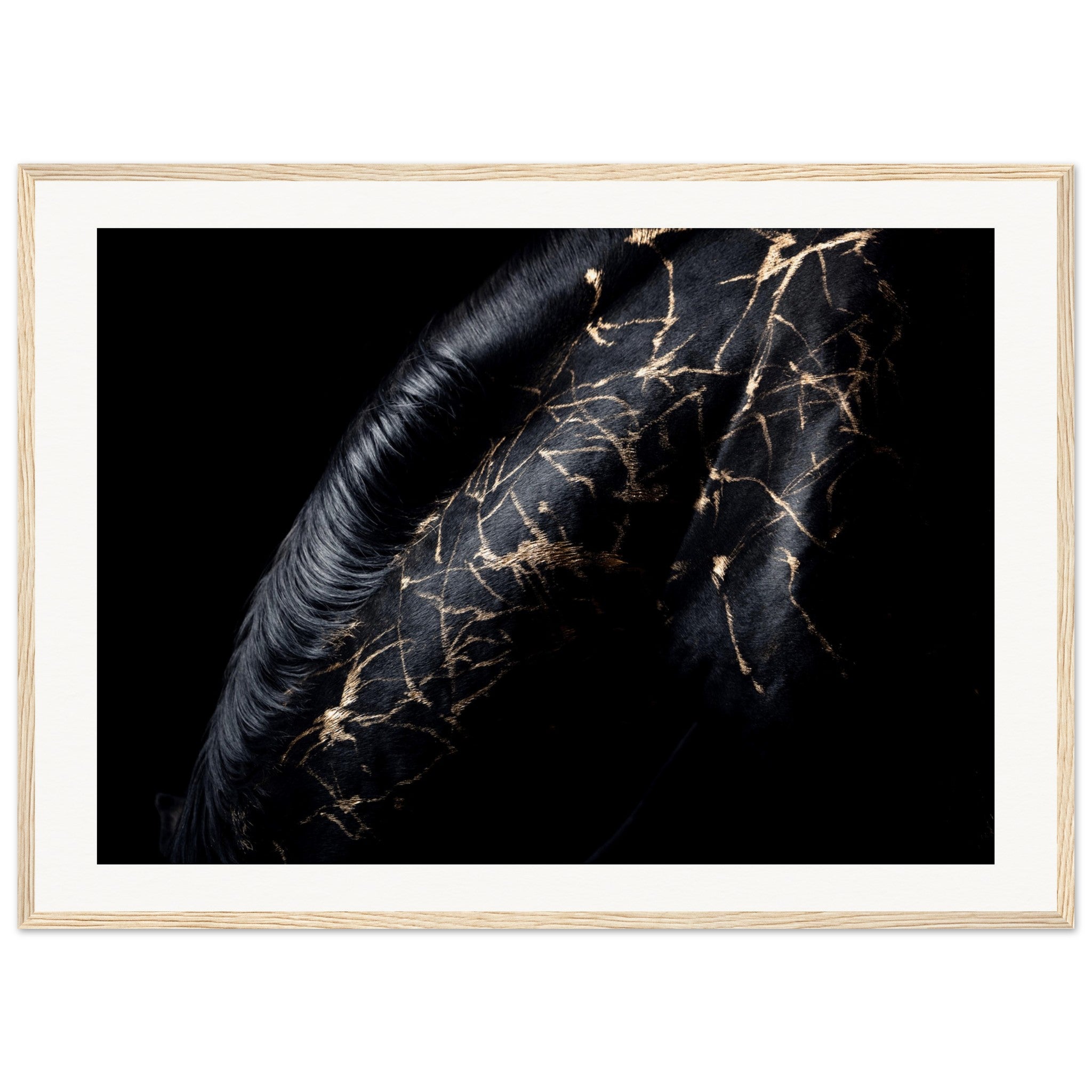 c03fbcfe-ae42-479e-ad09-a91d1a124a49