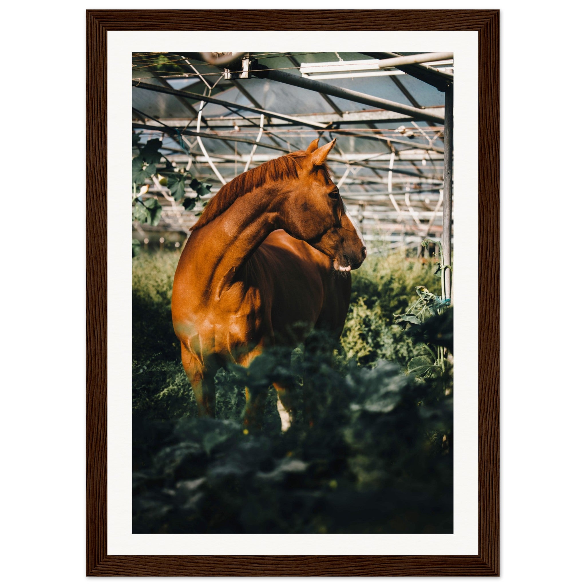 c04580a1-d8d3-43fa-af4b-0620dfd79d22