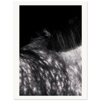 c09a6297-c14c-4627-9600-d1ee1e7897fd