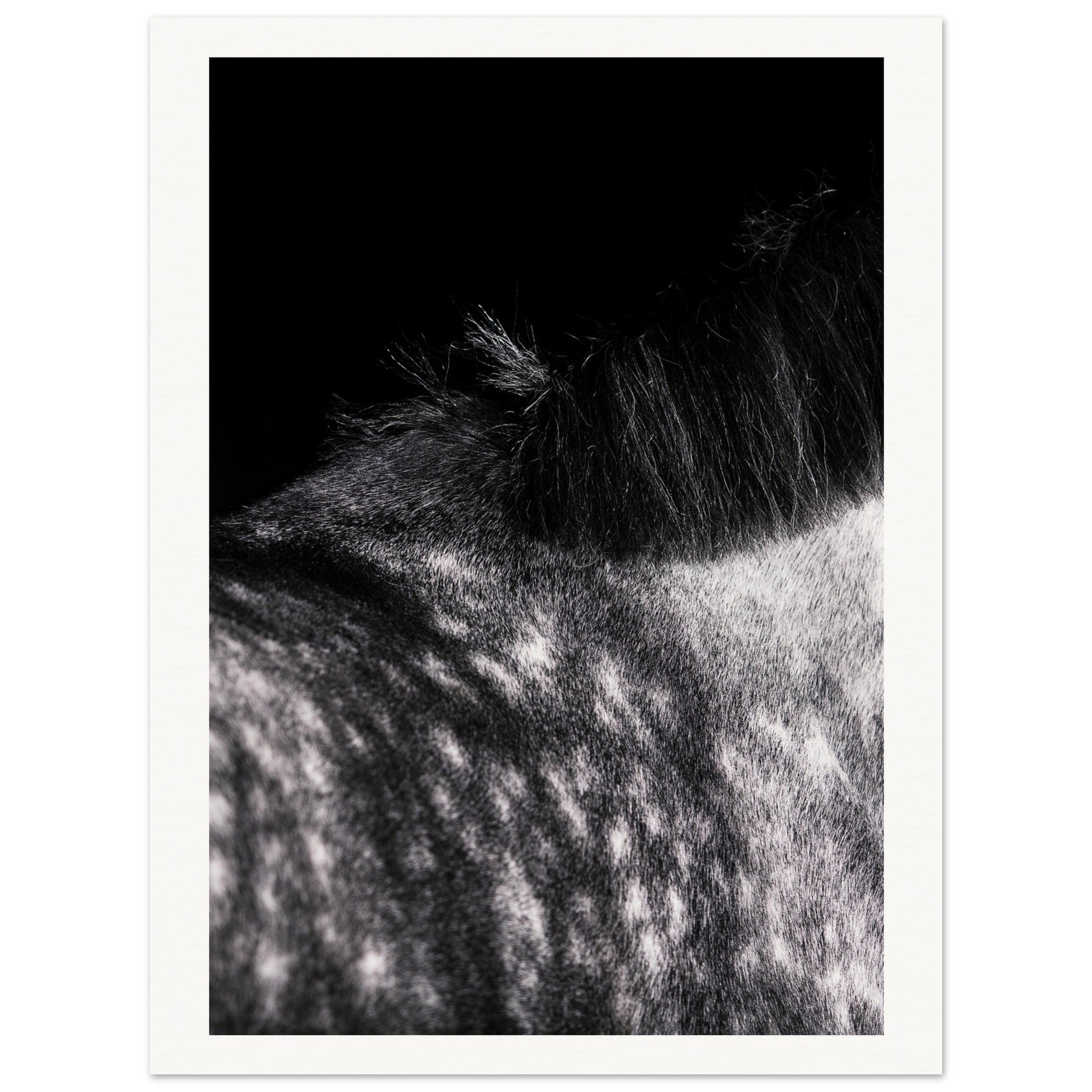 c09a6297-c14c-4627-9600-d1ee1e7897fd