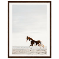 c0ed33a9-c329-4b0f-8de2-226fc4261067