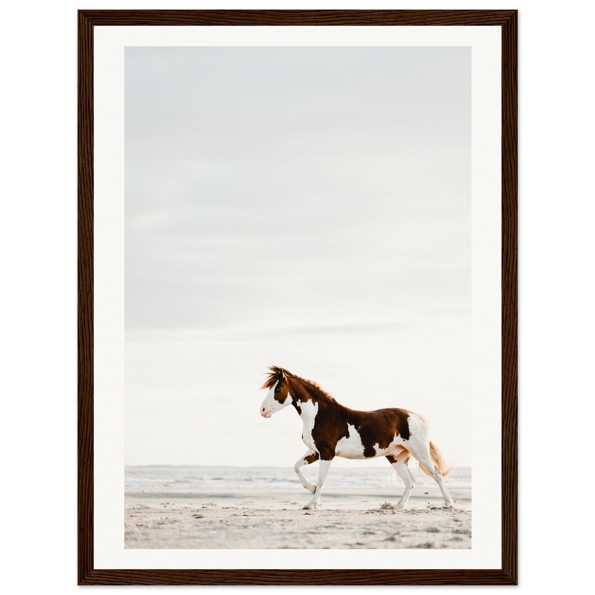 c0ed33a9-c329-4b0f-8de2-226fc4261067