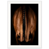 c17a8e0e-6207-46b9-b9b1-b6633bc15af1