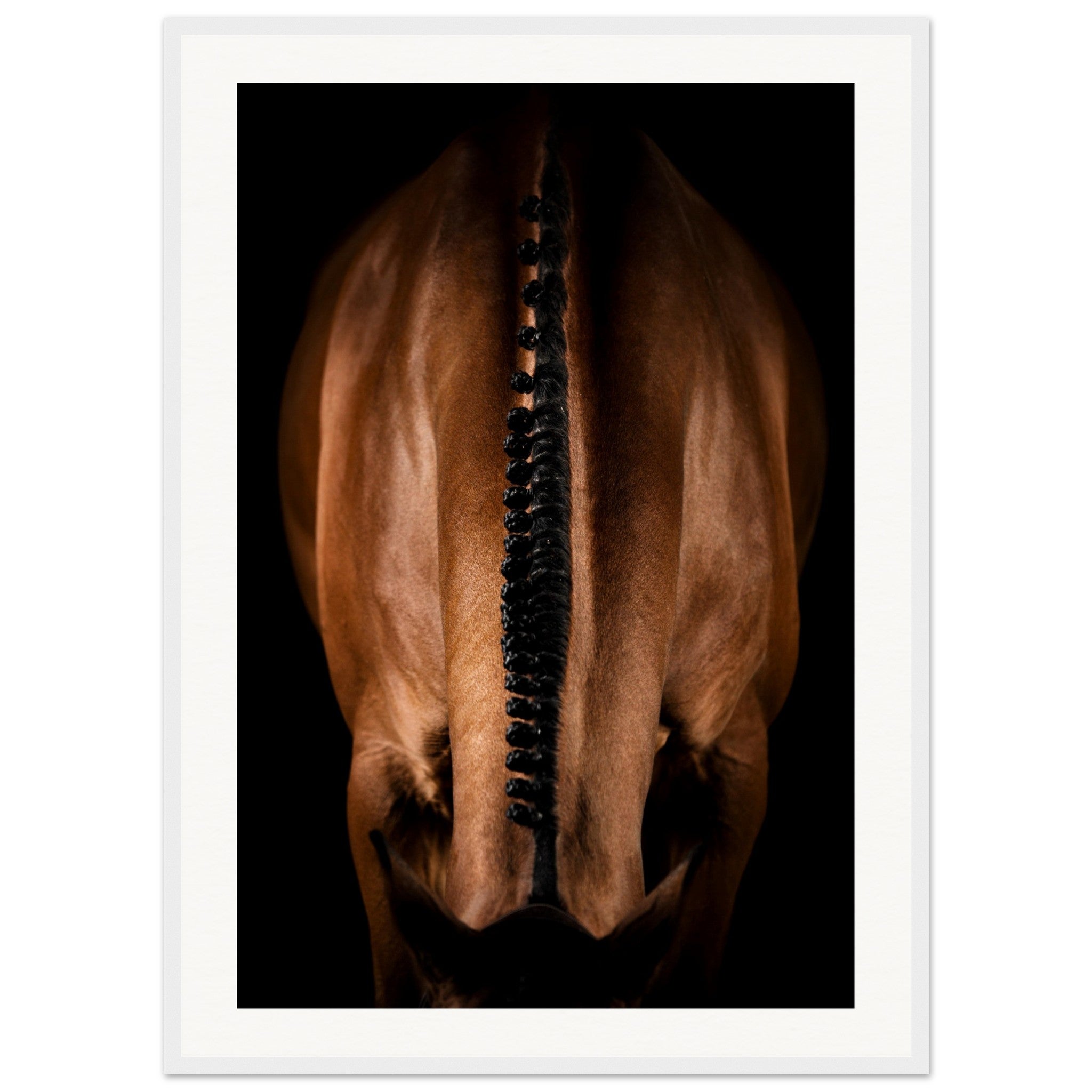 c17a8e0e-6207-46b9-b9b1-b6633bc15af1