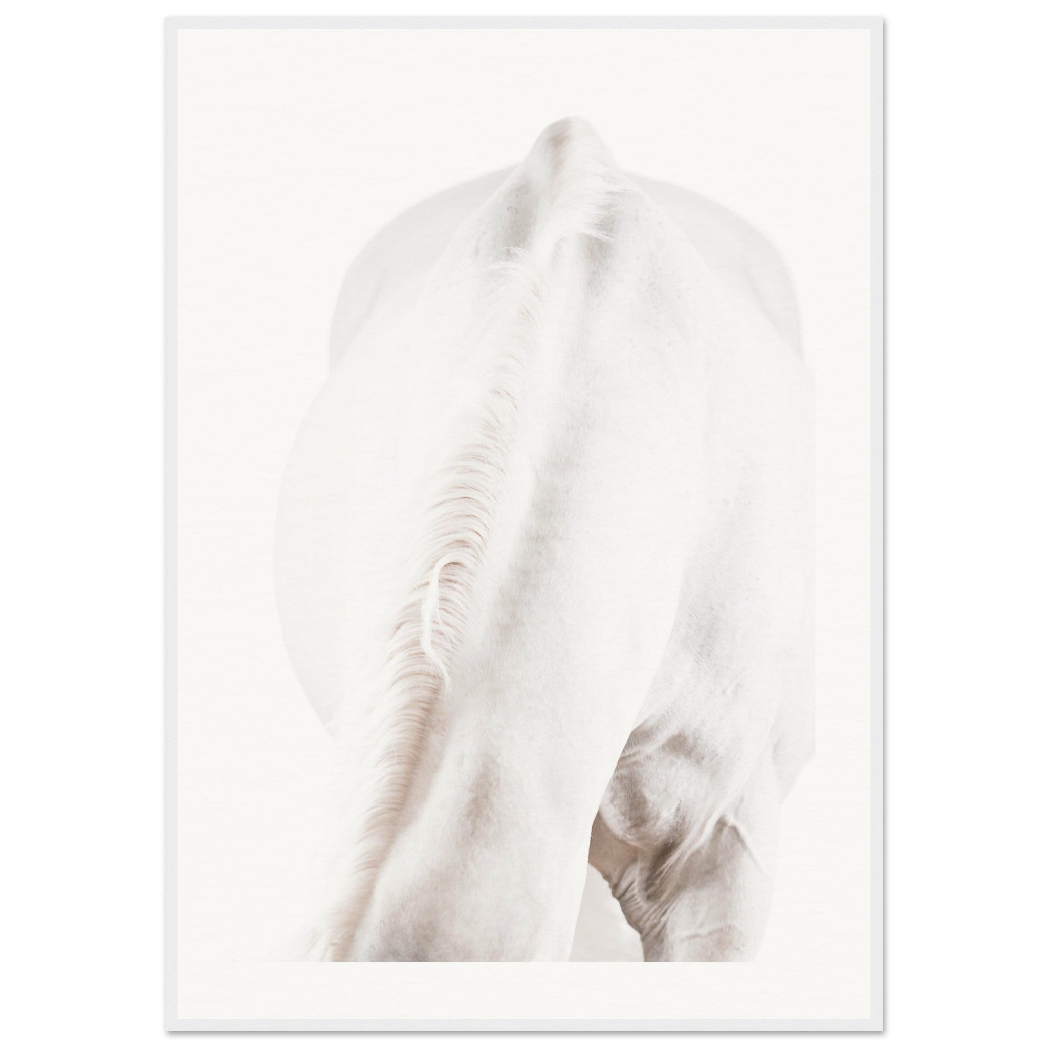 c1826424-eb05-41b7-b2bf-88410b9745f0