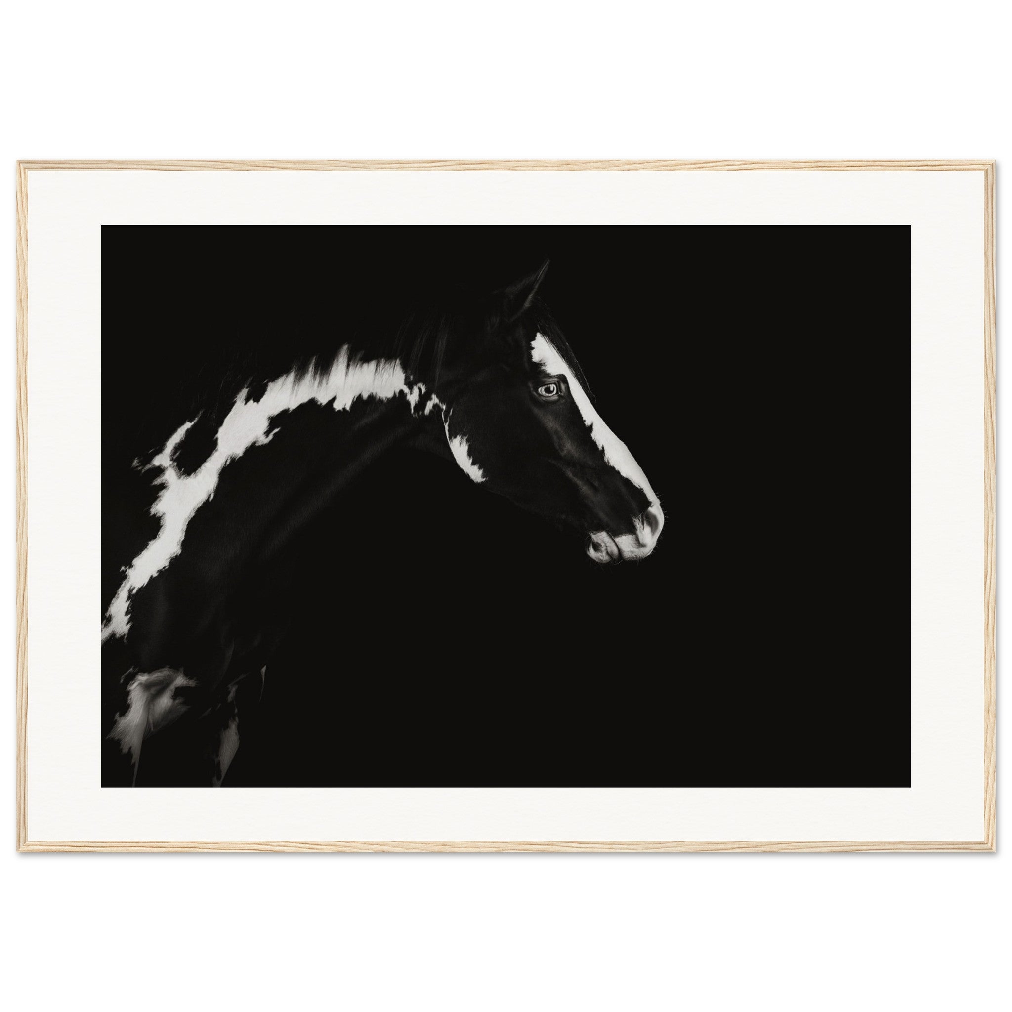 c183425b-8d11-47e4-9786-97a4fe246e7c