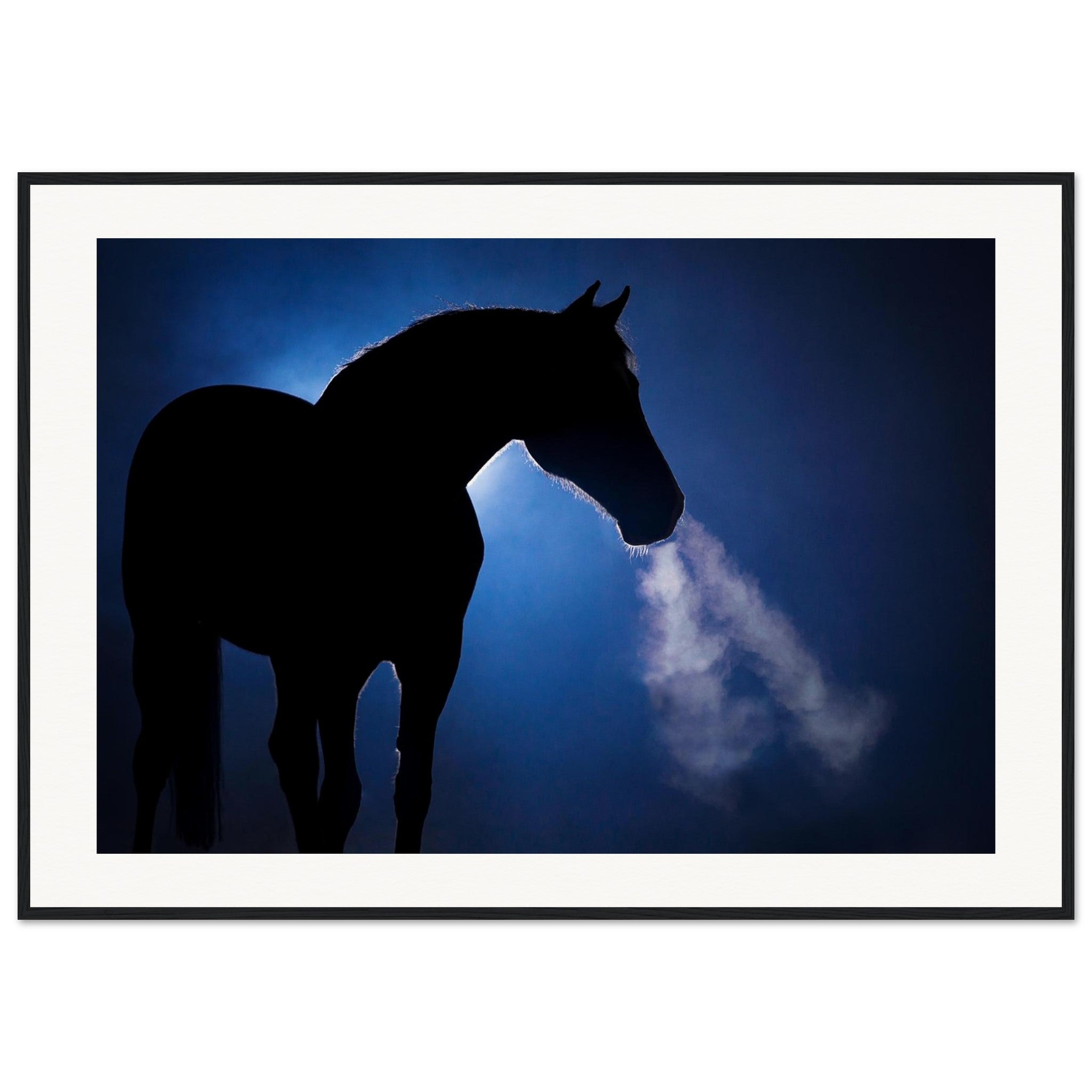 c1a6f009-1c6b-420a-ba70-747f206fec71