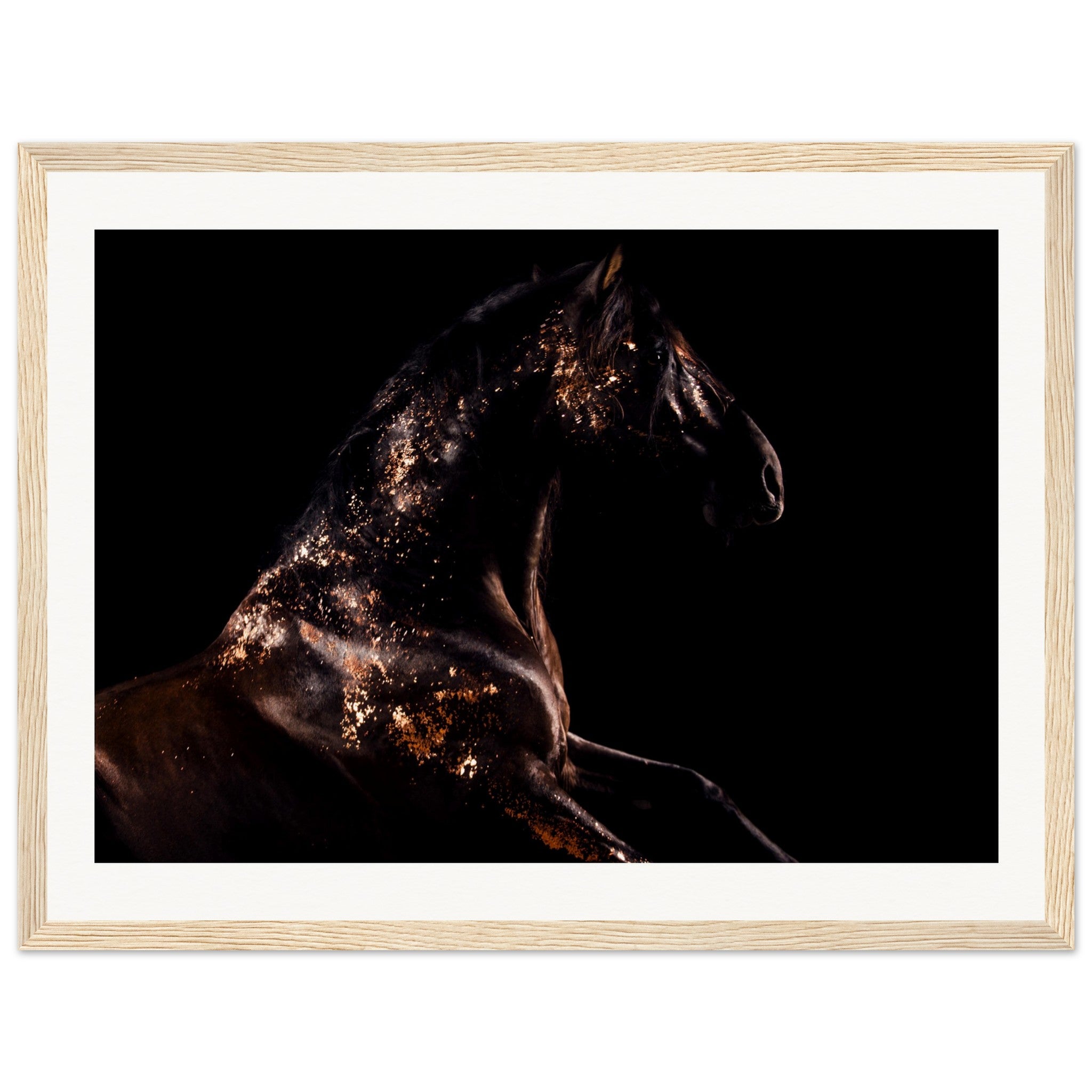 c1ec1dfd-a808-4b49-9984-2704781b25b5