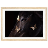 c226ead8-bae0-496f-8601-4af4183818af