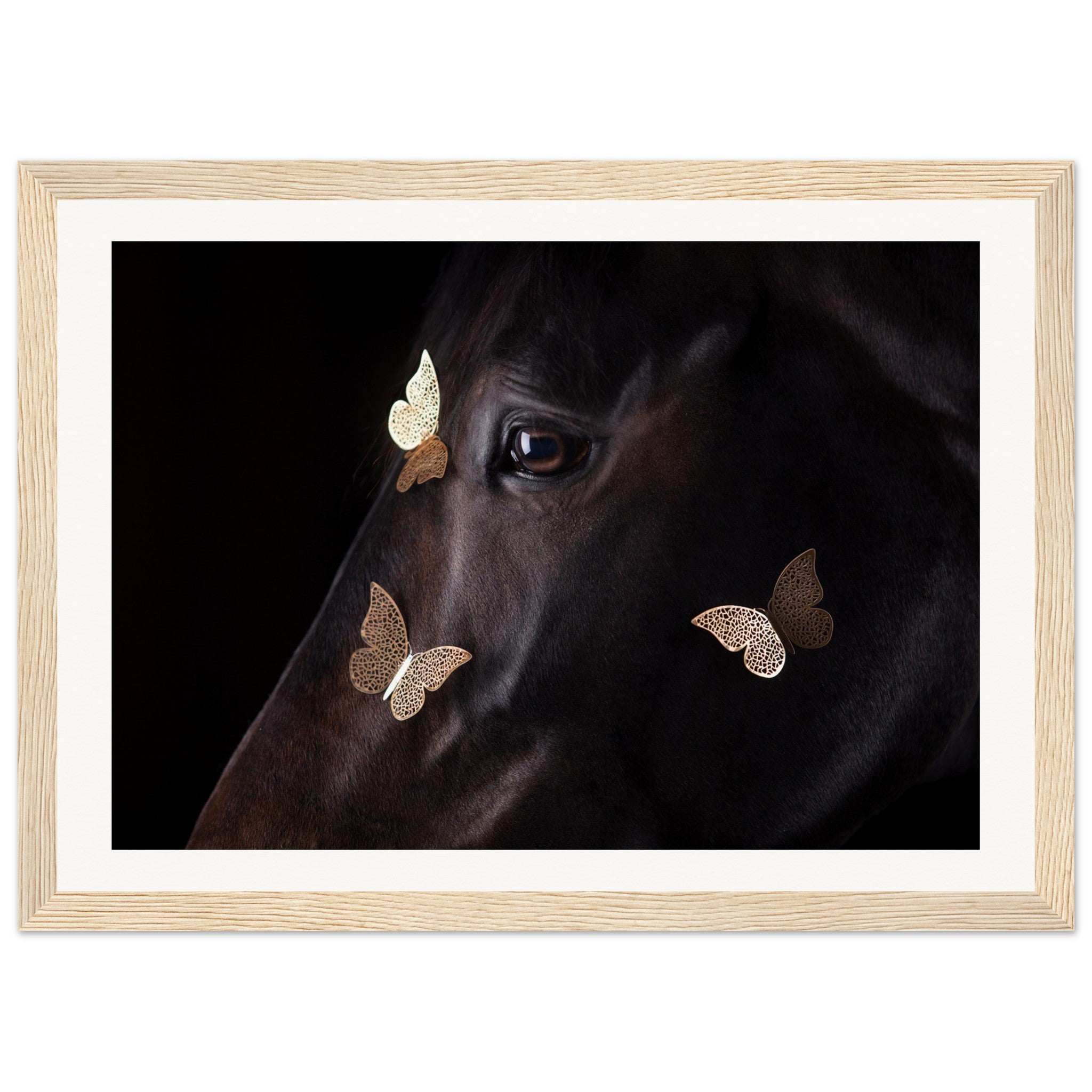 c226ead8-bae0-496f-8601-4af4183818af