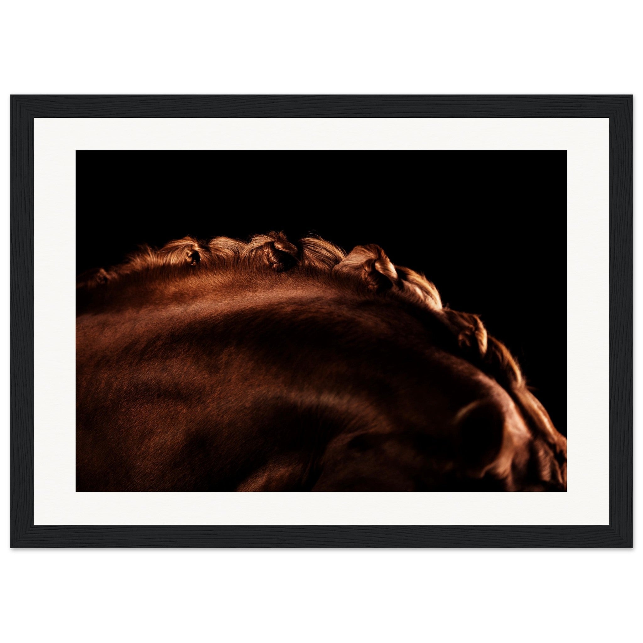 c2465ed3-857f-4dff-8357-944d6c2dc25c