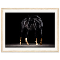 c2559994-d1db-4d36-b7e1-28567c094a35