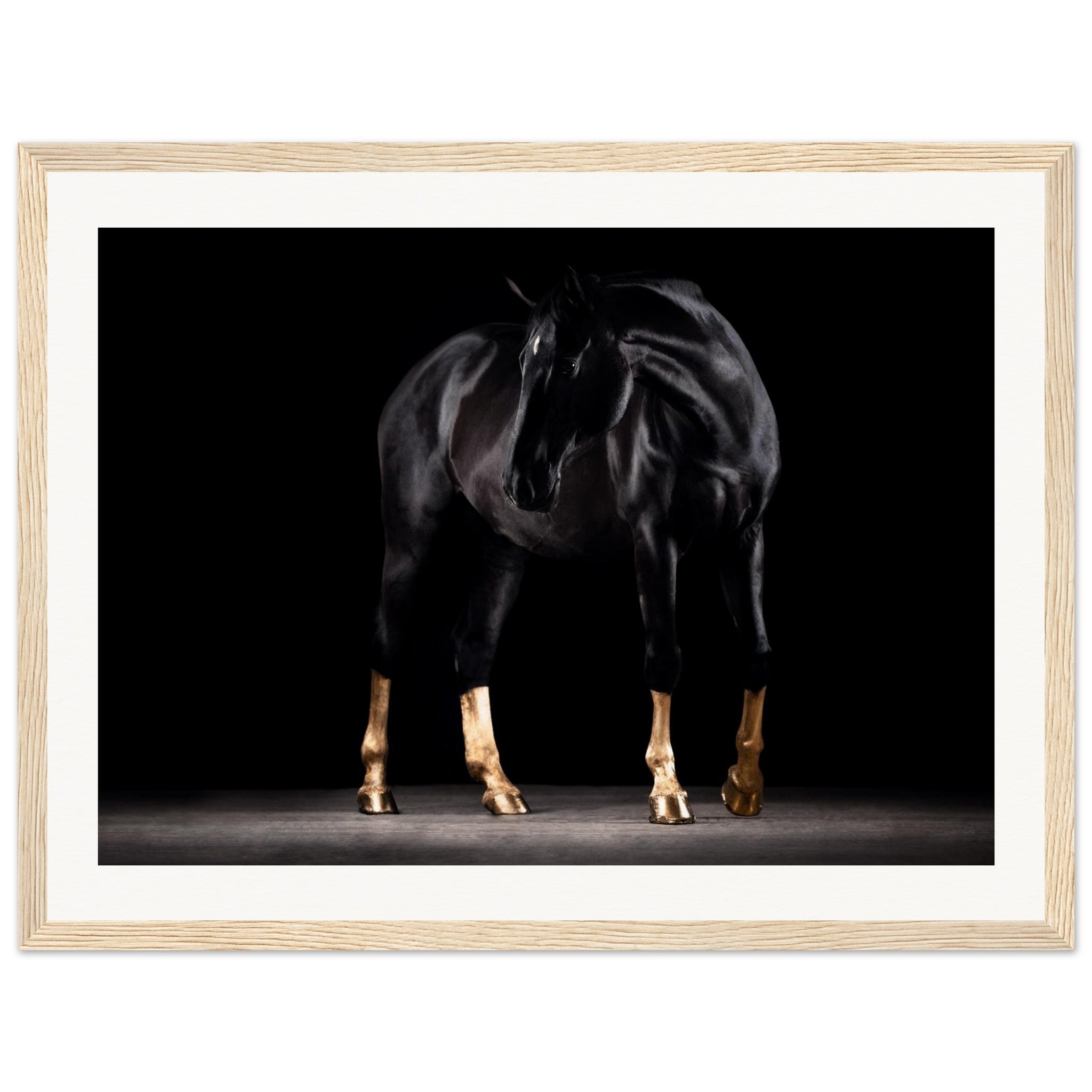 c2559994-d1db-4d36-b7e1-28567c094a35