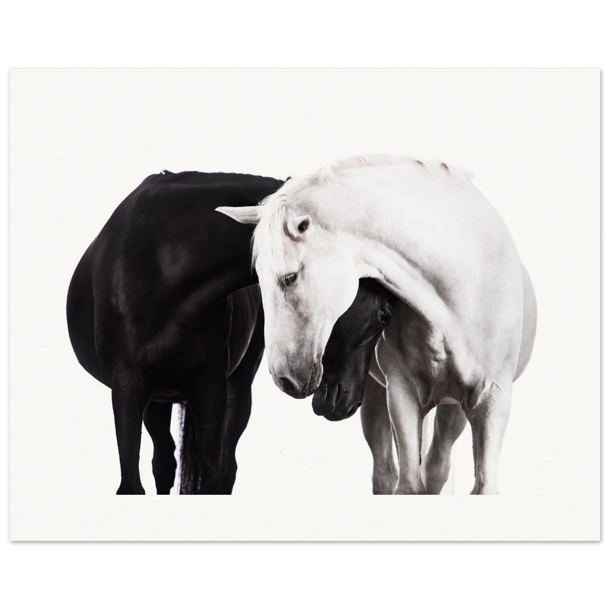 c2a9171e-cf6f-4d06-b302-ff0af2d9452d