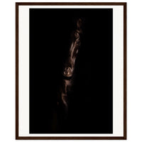 c2bd1ef5-f709-4249-9904-7b102e73bc92