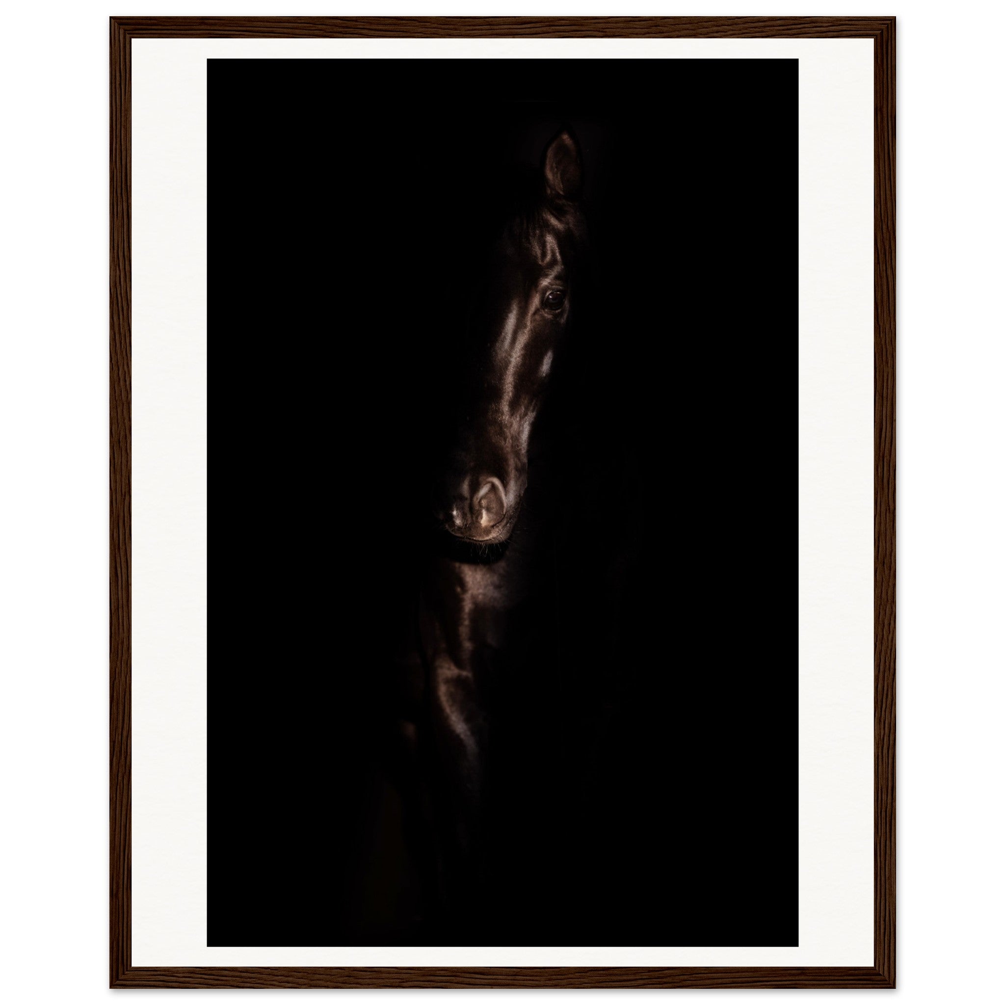 c2bd1ef5-f709-4249-9904-7b102e73bc92