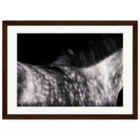 c39e86bf-e5f8-4450-976d-662bd762ee4d