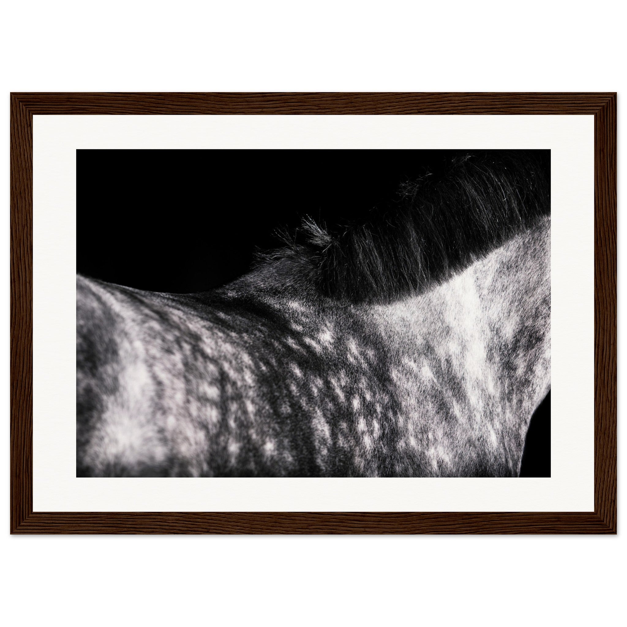 c39e86bf-e5f8-4450-976d-662bd762ee4d