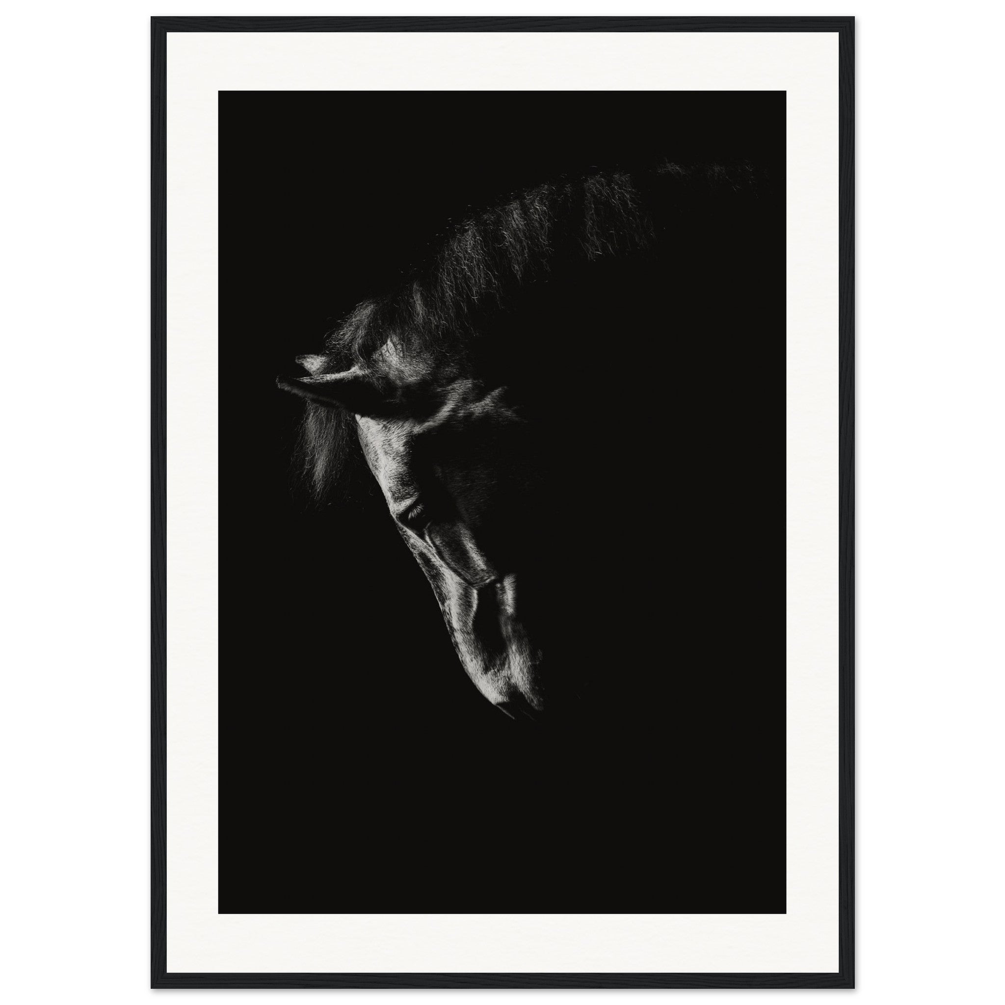 c3aa55a6-dcef-4c10-8f67-c28af1a3ad48