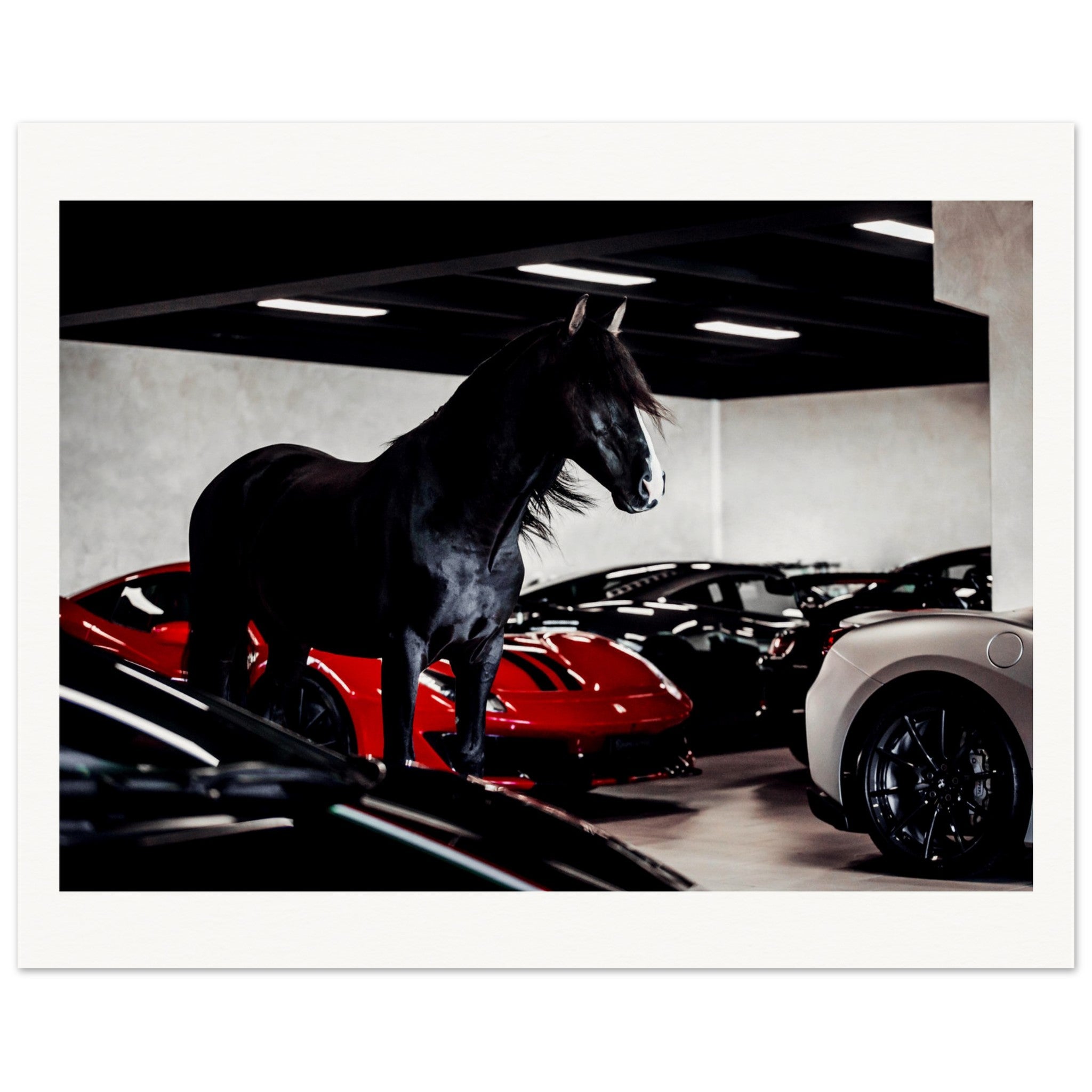 c466308d-089d-45c2-a716-7b00a3ed678f