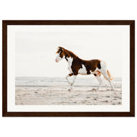 c48bd994-39d5-482f-8d9d-ea3f13ad981b