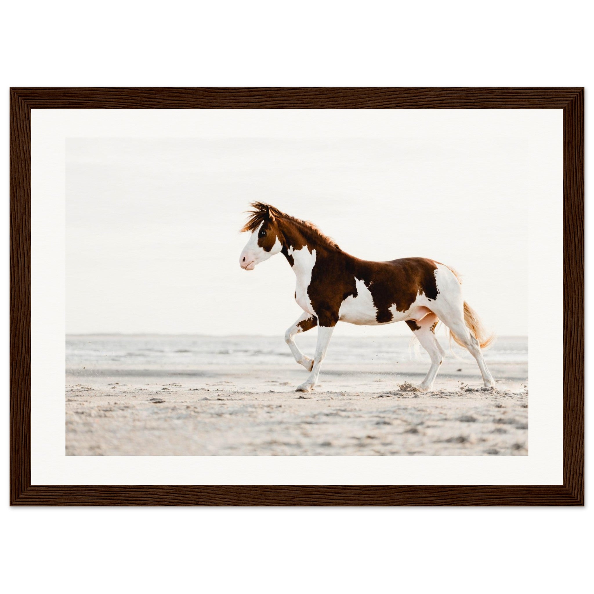 c48bd994-39d5-482f-8d9d-ea3f13ad981b