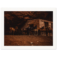 c4987fb3-bfc0-49d4-8355-65148aa53ada